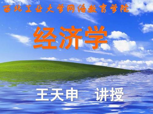 经济学-王天申 西北工业大学