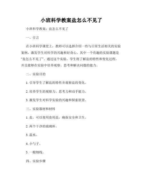 小班科学教案盐怎么不见了