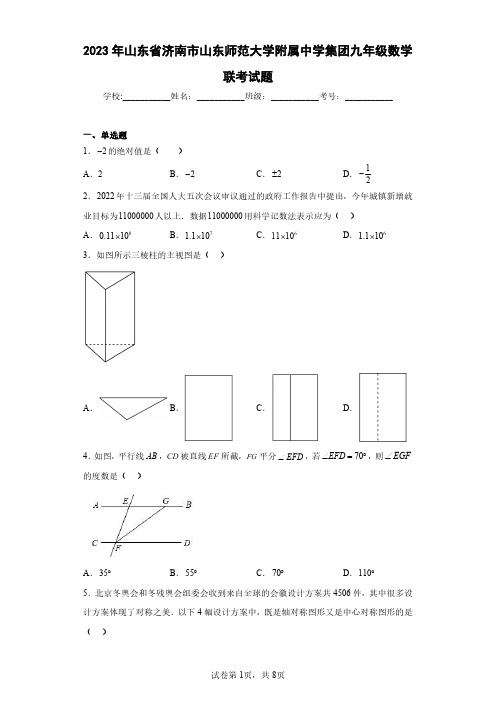 2023年山东省济南市山东师范大学附属中学集团九年级数学联考试题(含答案解析)