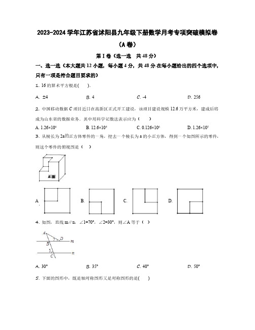 2023-2024学年江苏省沭阳县九年级下学期数学月考学情检测模拟卷合集2套(含解析)