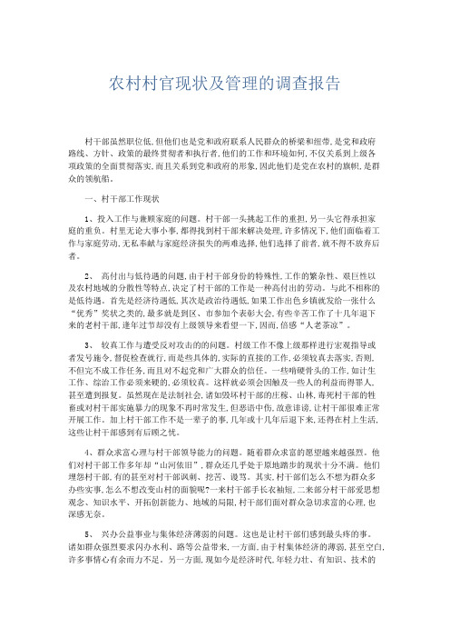 总结报告-农村村官现状及管理的调查报告 精品