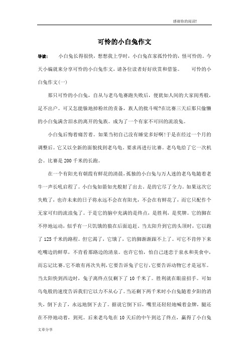 可怜的小白兔作文