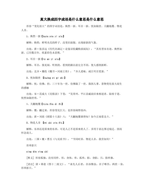 真大换成四字成语是什么意思是什么意思