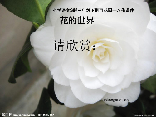 小学语文S版三年级下册百花园一习作课件_花的世界