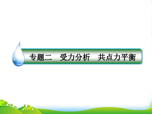 高考物理(课标)一轮复习专题课件专题二 受力分析 共点力平衡 (共61张PPT)