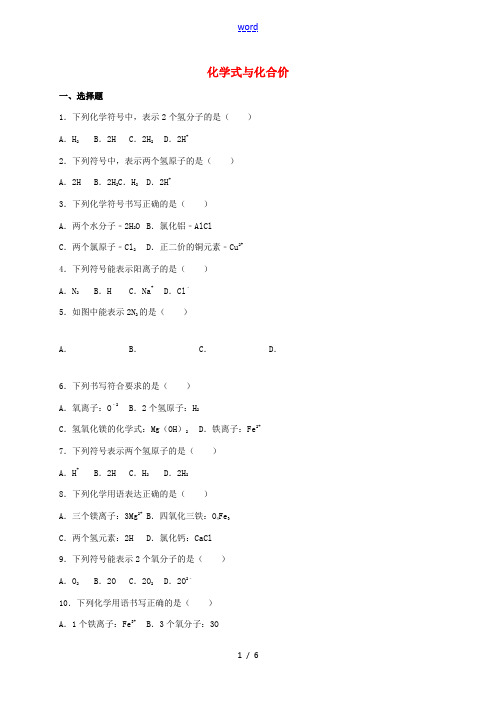 中考化学专题训练 化学式与化合价-人教版初中九年级全册化学试题