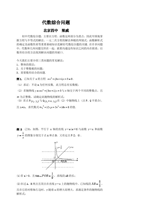 代数综合问题.doc