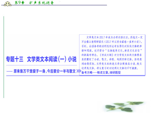 高三语文高考总复习课件：专题十三 文学类文本阅读(一)小说 专题入门 小说的高考命题点和读文关注点