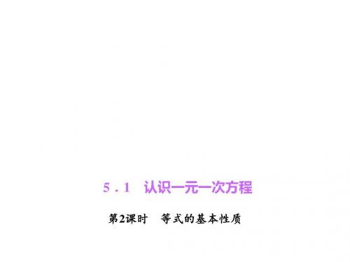 5.1.2 等式的基本性质