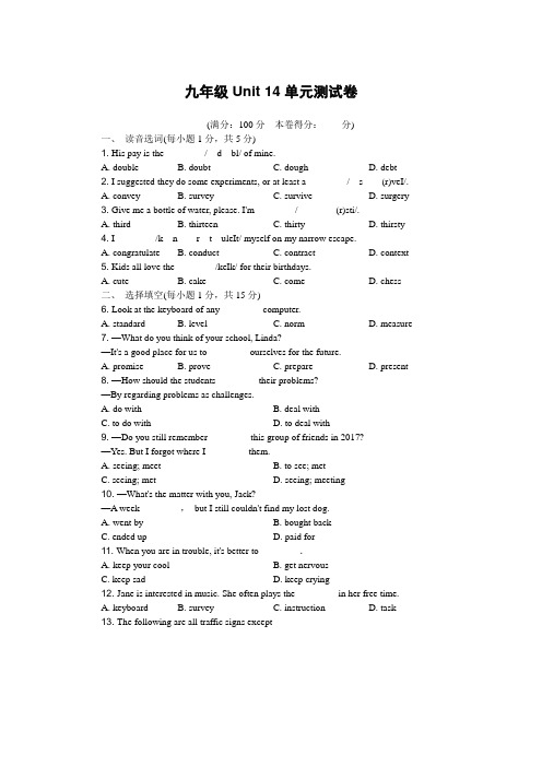人教版英语9年级Unit 14  单元测试卷(带答案)