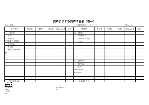 资产负债和净资产清查表