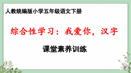 新人教统编版小学五年级语文下册《综合性学习：我爱你,汉字》课堂素养训练