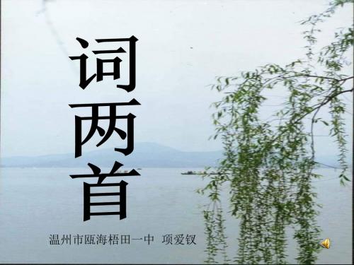 词两首·望江南·武陵春PPT 人教版 (共19张PPT)