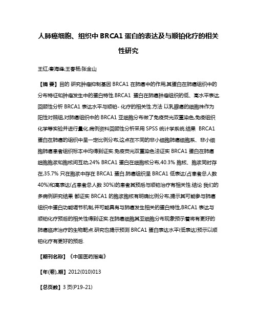 人肺癌细胞、组织中BRCA1蛋白的表达及与顺铂化疗的相关性研究