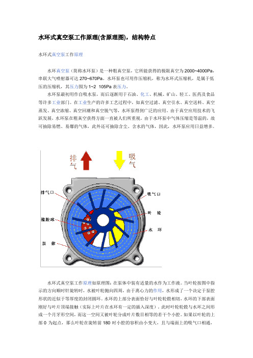 水环式真空泵工作原理