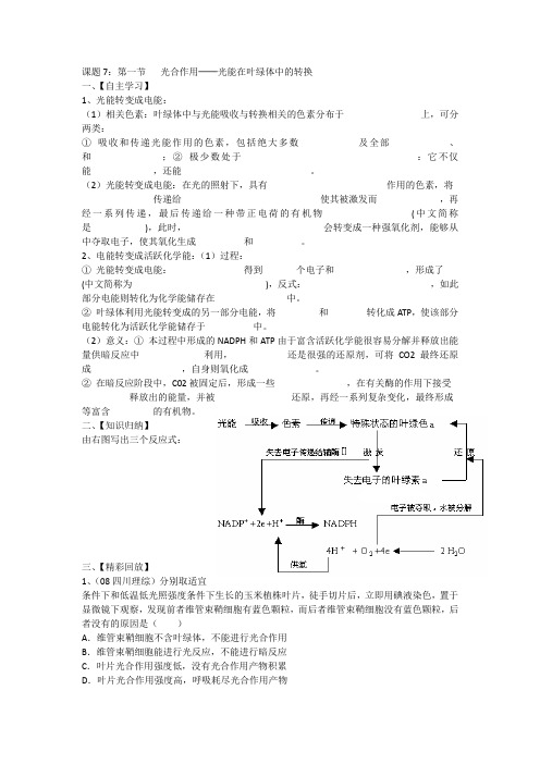 光合作用──光能在叶绿体中的转换