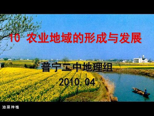 农业地域的形成与发展ppt4 人民版