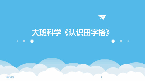 大班科学《认识田字格》-2024鲜版