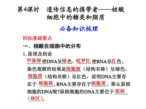 生物高考复习__遗传信息的携带者——核酸