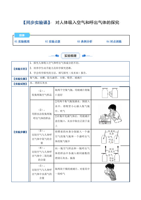 实验03 对人体吸入空气和呼出气体的探究(解析版)