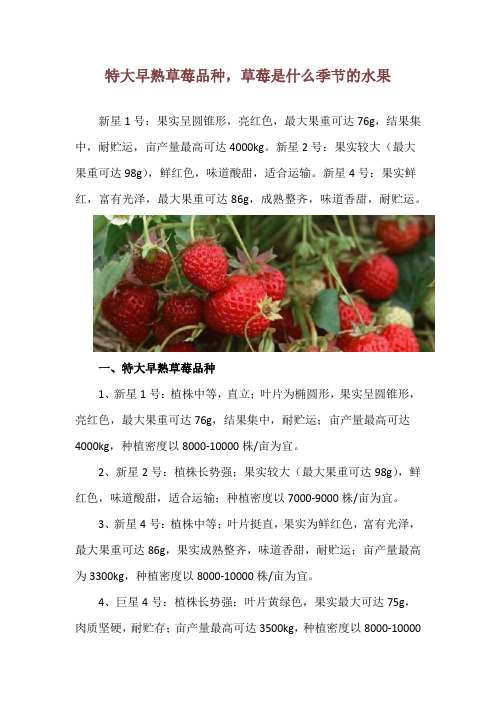 特大早熟草莓品种,草莓是什么季节的水果