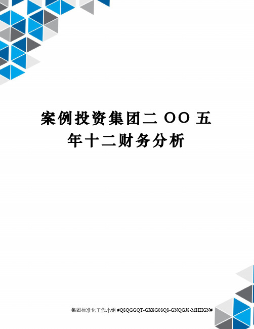 案例投资集团二OO五年十二财务分析