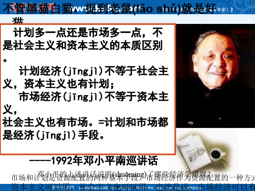 浙江省桐庐分水高级中学高中政治必修1课件第四单元社会主义市场经济