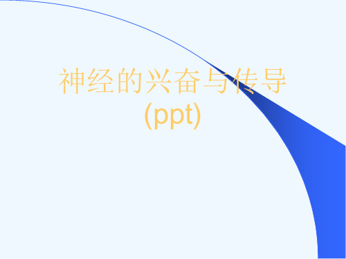 神经的兴奋与传导(ppt)