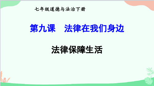 9.2法律保障生活课件(共21张PPT)