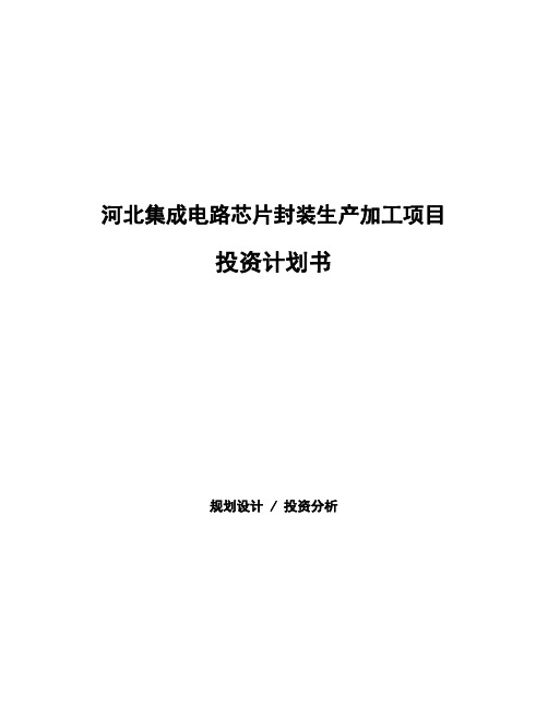 河北集成电路芯片封装生产加工项目投资计划书