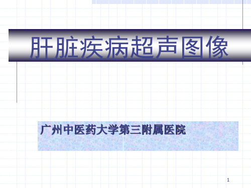肝脏疾病超声图像PPT课件
