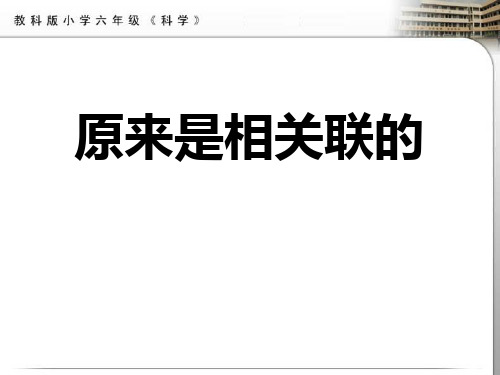 《原来是相关联的》生物的多样性PPT课件二