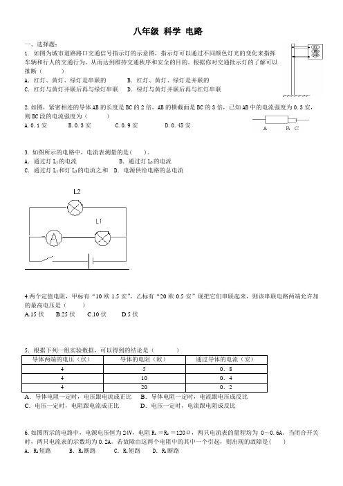 八年级科学上册第四章电路探密习题