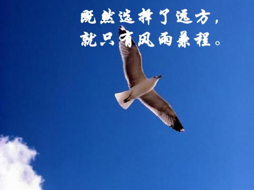 余弦定理 优秀课件 北师大版