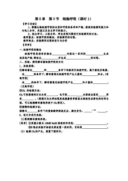 北京师范大学附属实验中学人教版高中生物必修一学案：5.3细胞呼吸(课时一) 