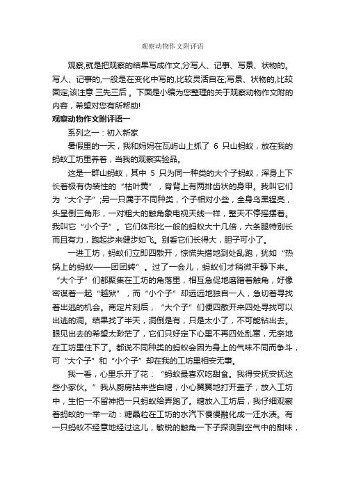 观察动物作文附评语_作文1000字_作文评语_