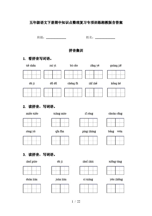 五年级语文下册期中知识点整理复习专项训练湘教版含答案