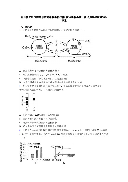 湖北省宜昌市部分示范高中教学协作体 高中生物必修一测试题选择题专项附答案