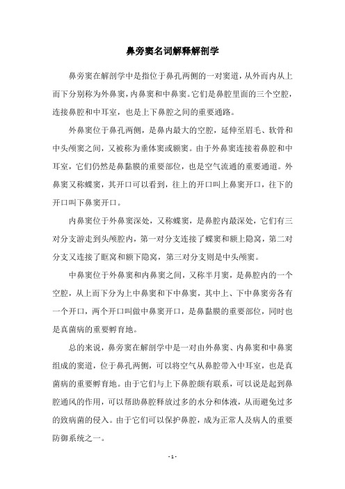 鼻旁窦名词解释解剖学