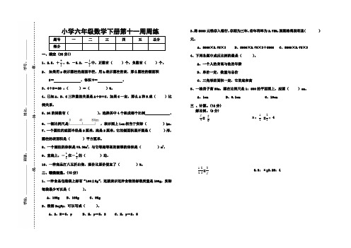 人教版小学六年级数学第11周周练试题