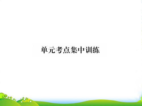 人教新目标九年级英语(黔东南)习题课件：Unit9 单元考点集中训练 (共17张PPT)