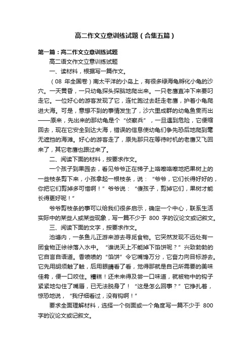 高二作文立意训练试题（合集五篇）