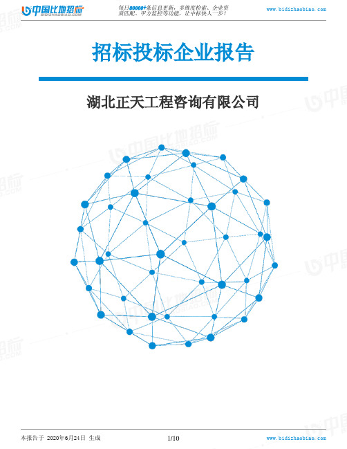 湖北正天工程咨询有限公司-招投标数据分析报告