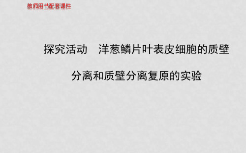 高中生物 第三单元 第一章 探究活动洋葱鳞片叶表皮细胞的质壁分离和质壁分离复原的实验课件 中图版必修1