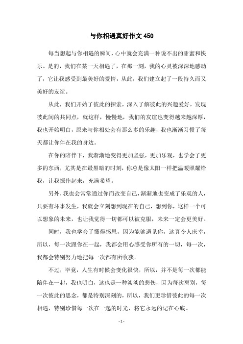 与你相遇真好作文450