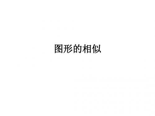中考复习-图形的相似 共22页PPT资料