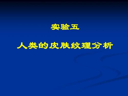 人类的皮肤纹理分析