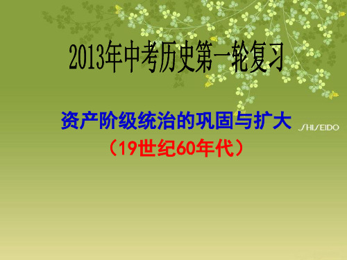 九年级历史(上)第一轮复习课件6单元