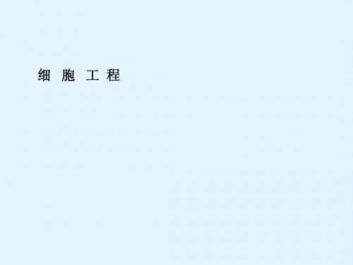 最新2015届高考生物一轮详细复习 细 胞 工 程(考点透析+典例跟踪详解+实验导航大题专训)课件 新人教版