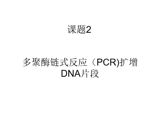 高二生物pcr技术